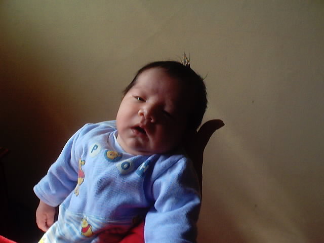 20031111_07.JPG, 11/11/03, 33 kB