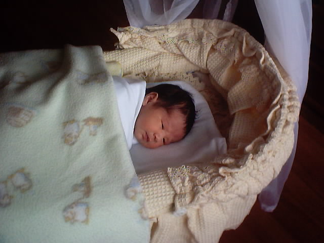20031111_11.JPG, 11/11/03, 46 kB
