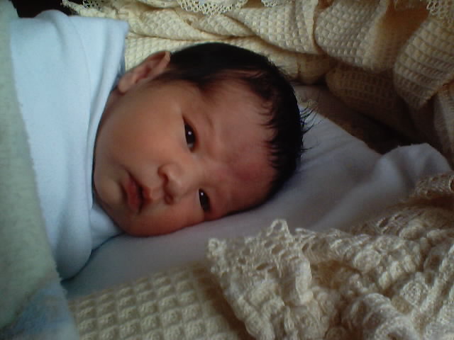 20031111_12.JPG, 11/11/03, 43 kB