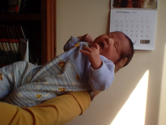20031111_18.JPG, 11/11/03, 38 kB